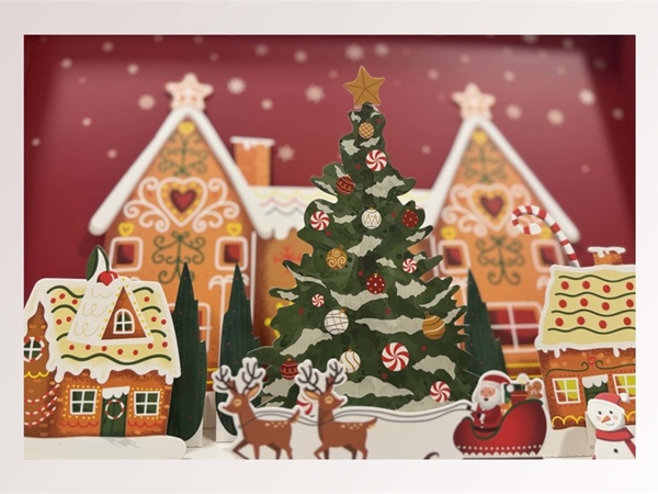 Kerst Adventskalender Exclusief